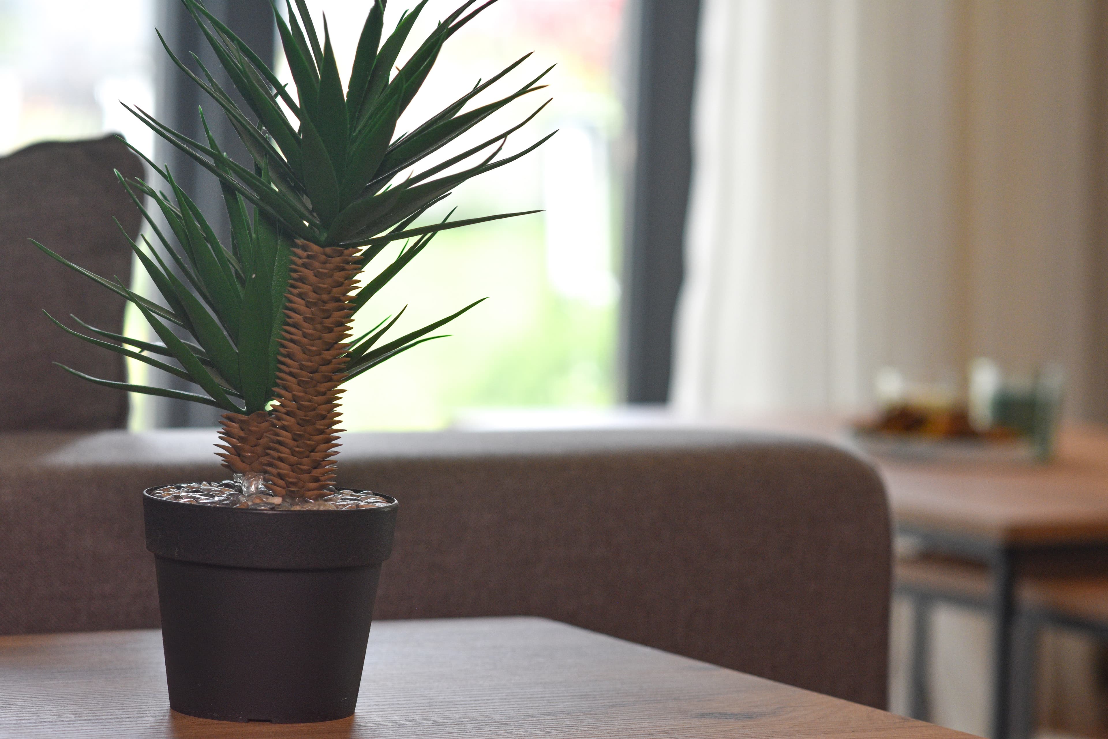 Spacious 2BR with Garden Family friendly , möbliertes Apartment in Bağcılar, Istanbul — image 4