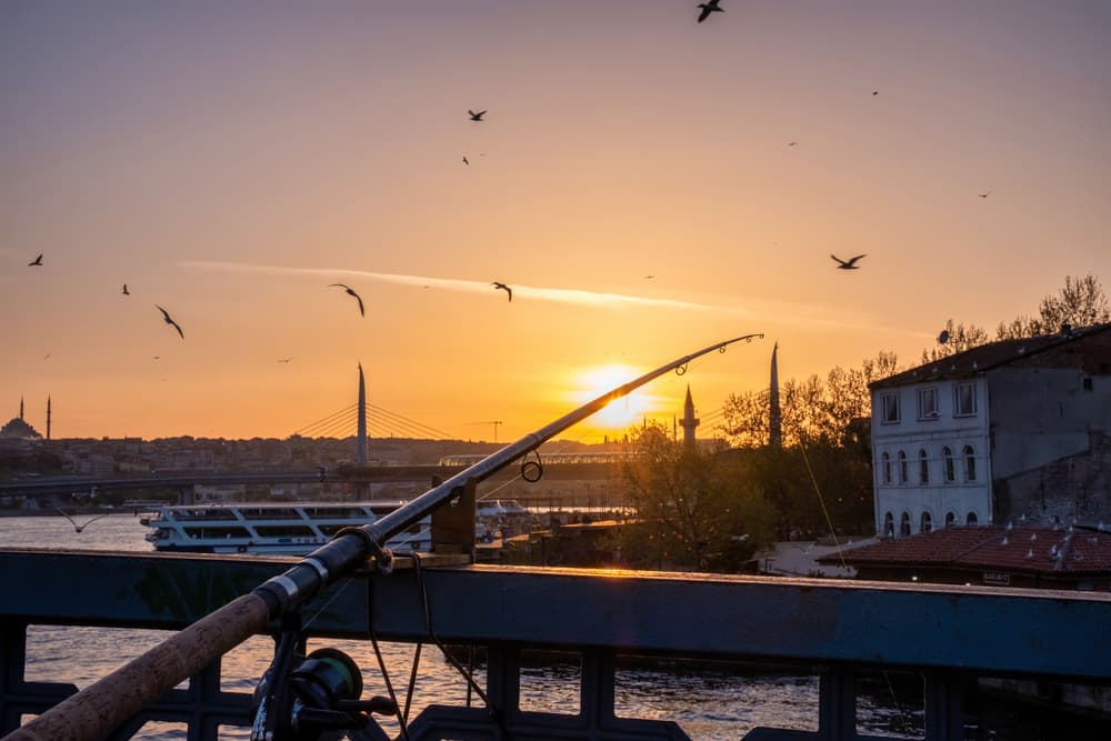 Spring in İstanbul: When the City Comes Back to Life!